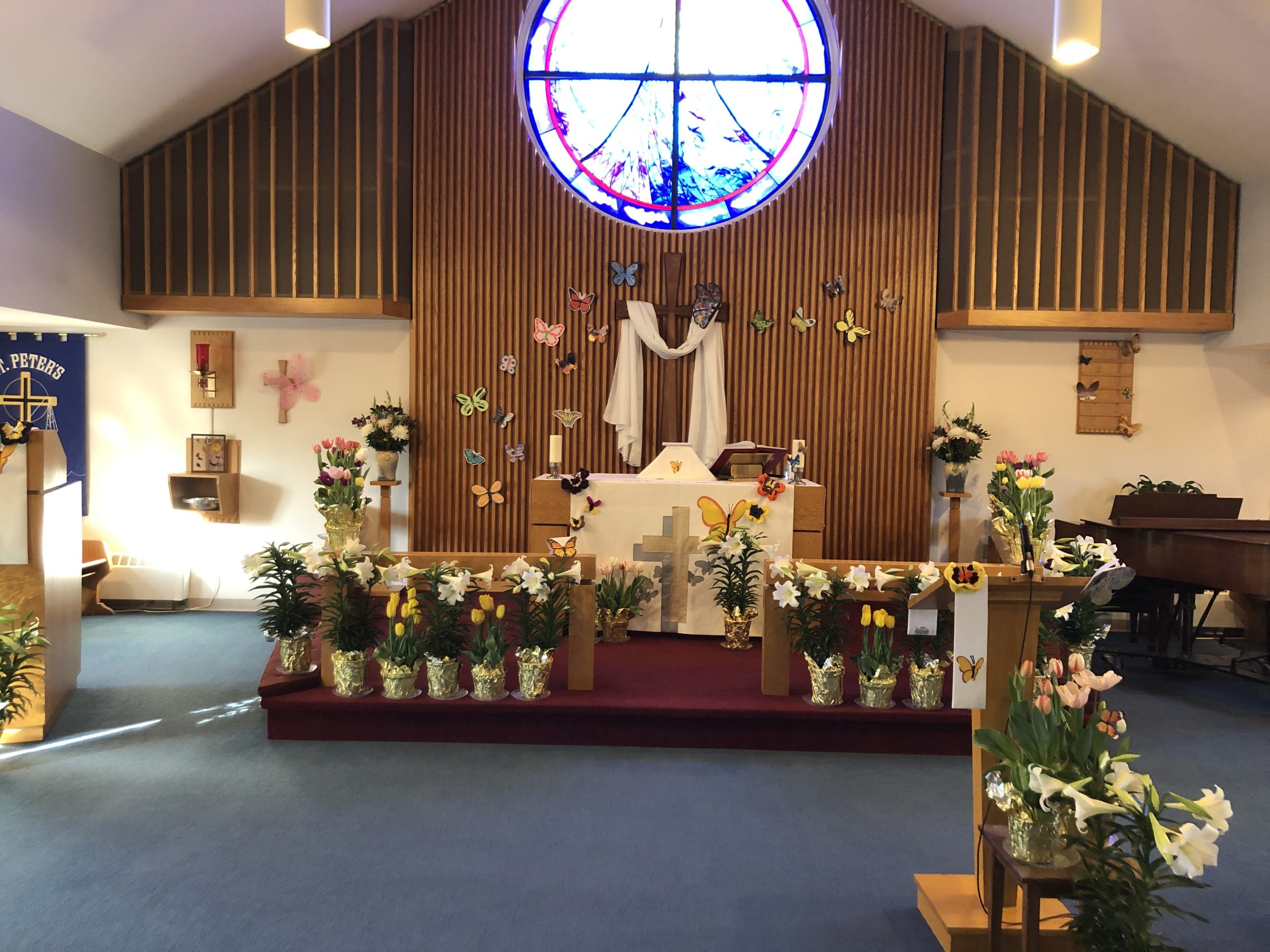 Easter altar 2021 sunflower against blue sky grown at Saint Peter's Lutheran church
